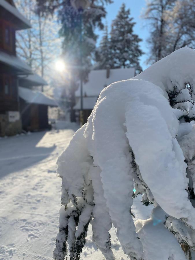 Willa U Adama Zakopane Exteriér fotografie