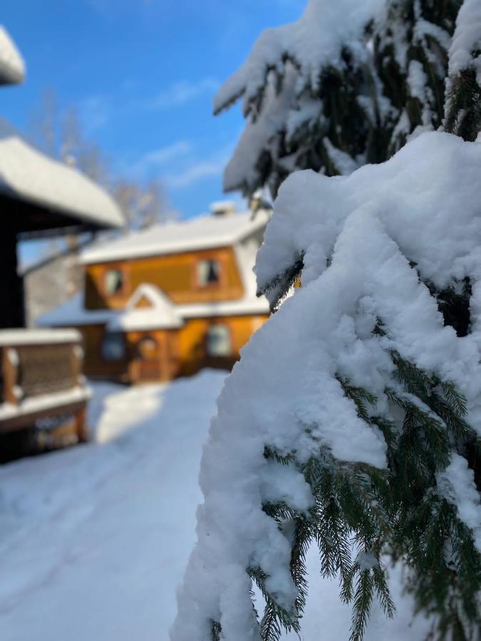 Willa U Adama Zakopane Exteriér fotografie